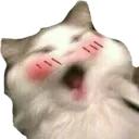 catto_Ohmy Discord Emoji