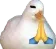 duckpray