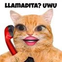 emoji_13