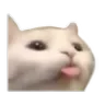 Catlick catlick Discord Emoji