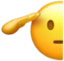 SaluteFace