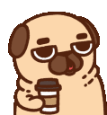 coffee_pug Discord emoji