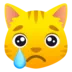 cryingcat Discord Emoji