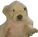 MS_Queinsano Discord emoji