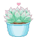AQ_greensucculent