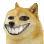 XDoge XDoge