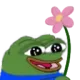 pepeflower