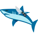 shark