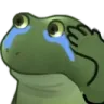 Worrysalutecry