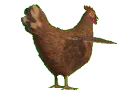 jonathanspin