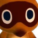 timmy_stare