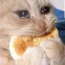 Cat Burger Discord Emoji