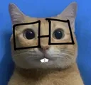 awesomenerd