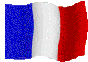 france Discord emoji