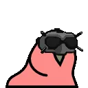 partyparrotdigital
