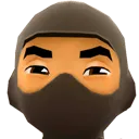 ninja ninja