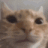 TEA_3mnogokotov Discord emoji