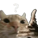 B Cat What Discord Emoji
