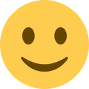 slightly_bitchy_smile