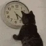 CatTime