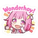 WONDERHOY