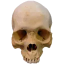 SkullEmoji