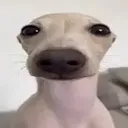 que