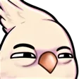 Sus