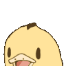 Duckyay