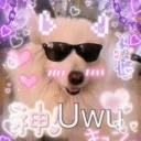 keelauwu keelauwu