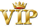 1VIP Discord emoji