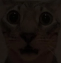 sadwow Discord emoji