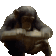 sinje Discord emoji