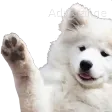 waveboye