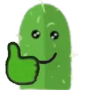 cactusokk