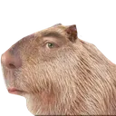 Uncannybara