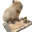 Judgybara