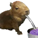 Leanybara
