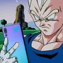 vegetawtf