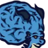 dracthyr_ADVANCED