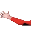 docFlex1