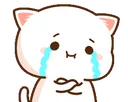 rnx_cry
