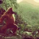 kompala