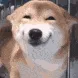 grinneh1