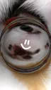 emoji_29