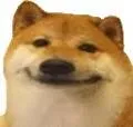 ummdog ummdog