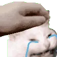 crying_cat