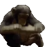 monke