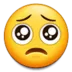 pleading
