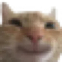 catsmile